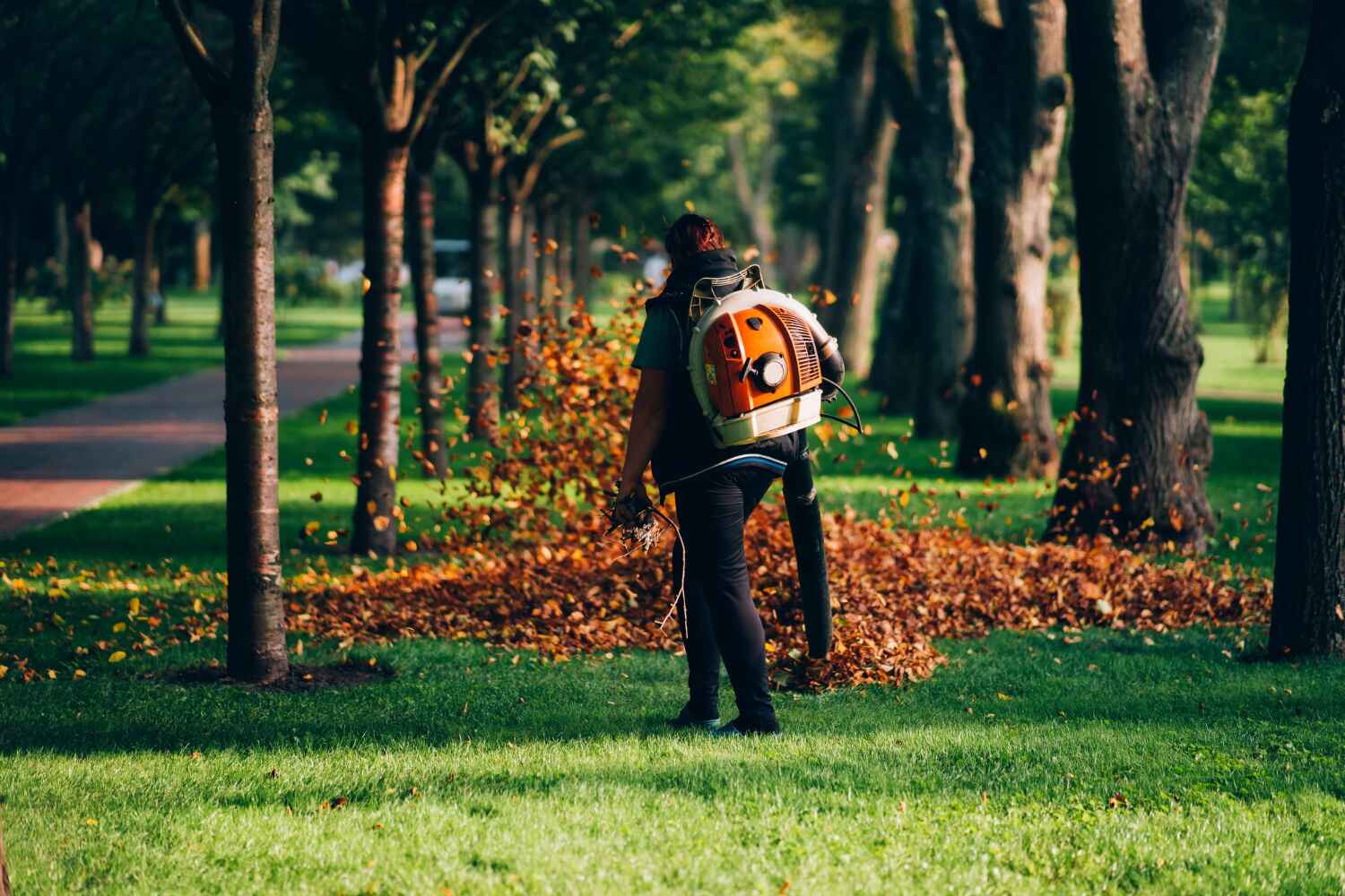 Best Tree Root Removal  in Mcgregor, FL